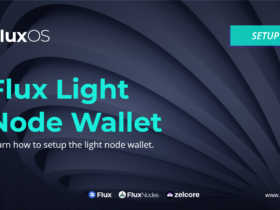 εγκατάσταση κόμβου Flux σε VPS